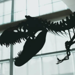 Scientist Purchases Dinosaur Fossil Online, Uncovers Frightening Creature